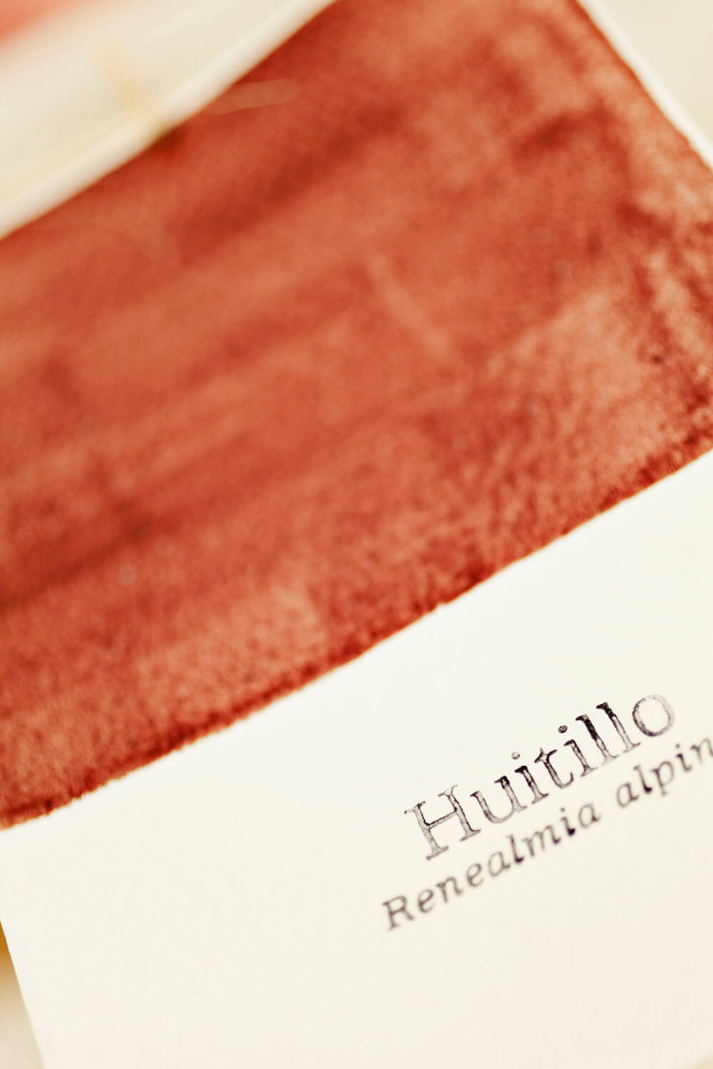 8 ESTUDIO Estudio GALERIA IMG_3127.jpg